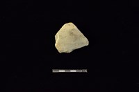 陶片藏品圖，第1張